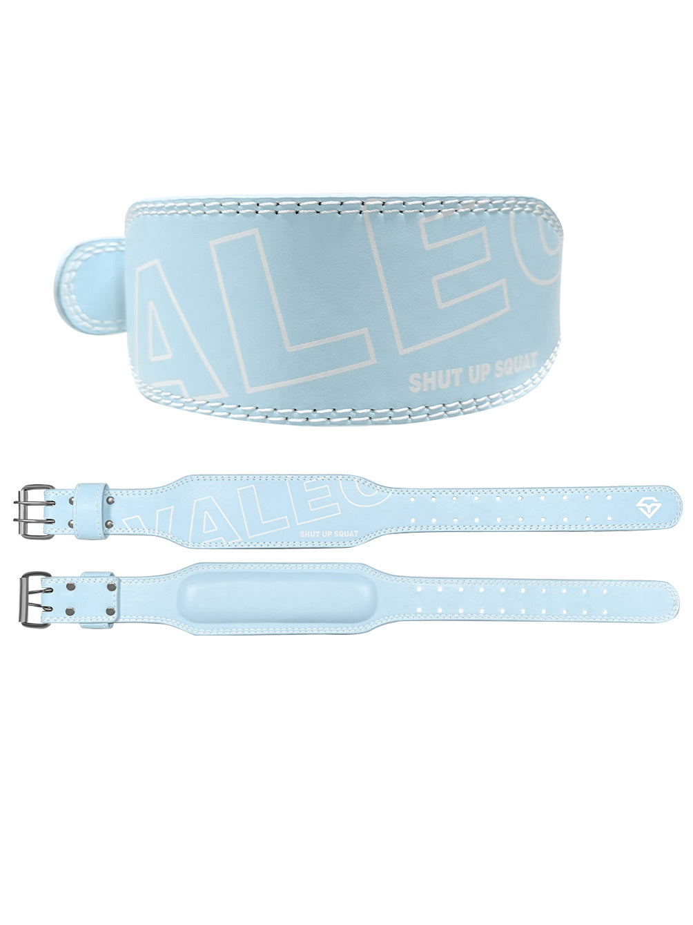 Belt guard
