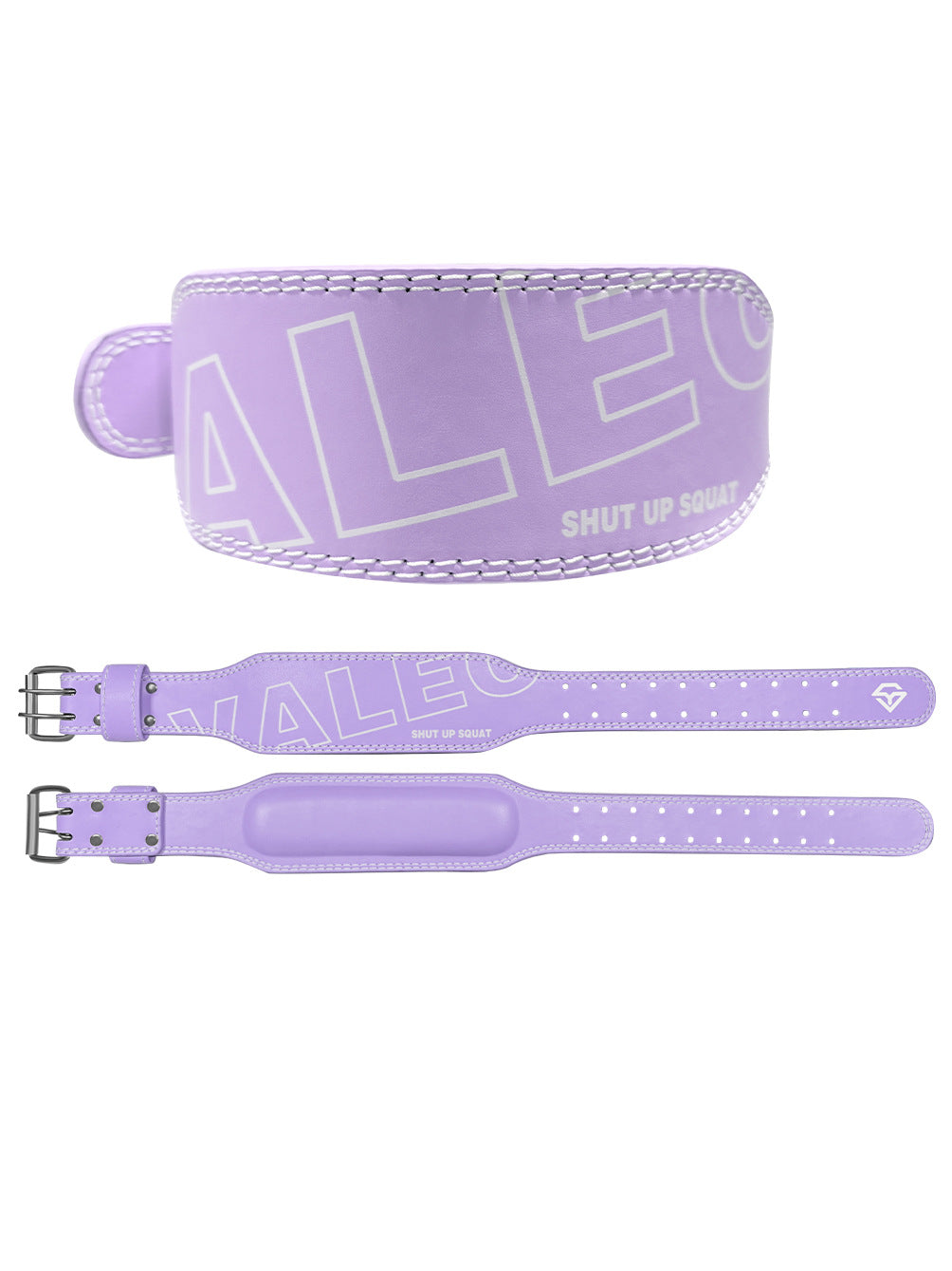 Belt guard